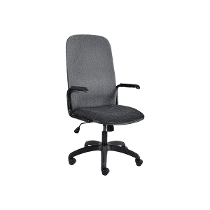 Paula Loop Arm Mid Back Chair