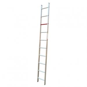Industrial Single Ladders