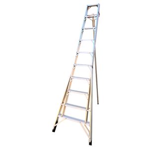 Fruit Picking Ladder